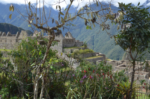 4ec4c4ef6893cd396bc5f0630fe8d0473ed081d1