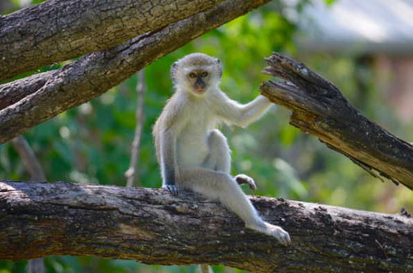 6f7ca3d114eb44a1b2978887750e71d3aeb7a951