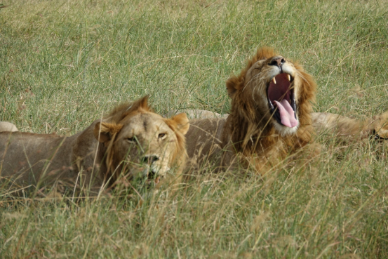 f010ebd6da9b9a4104d52dac567acd6f744996a5