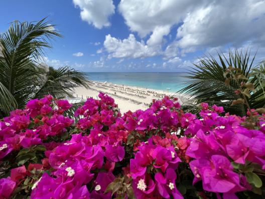 Caribbean and Mexico Gallery